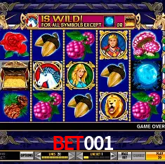 bet001 Brasília - VIP Program